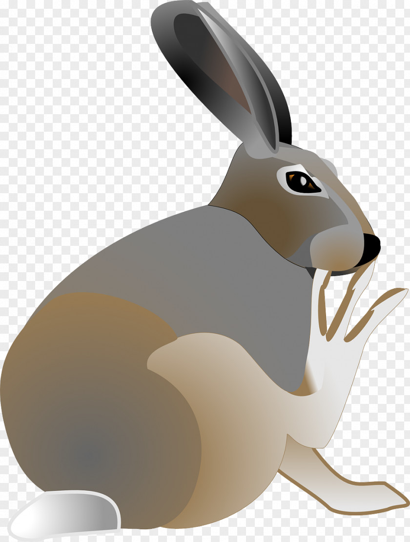 Watching Rabbit Easter Bunny Arctic Hare Clip Art PNG