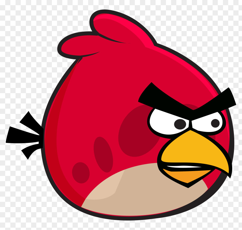 Bird Angry Birds Fight! Star Wars II Go! PNG