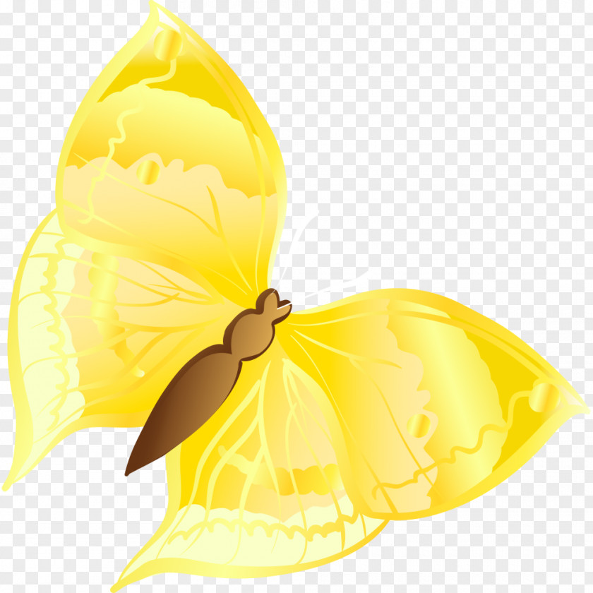 Cartoon Golden Butterfly Graphic Design PNG
