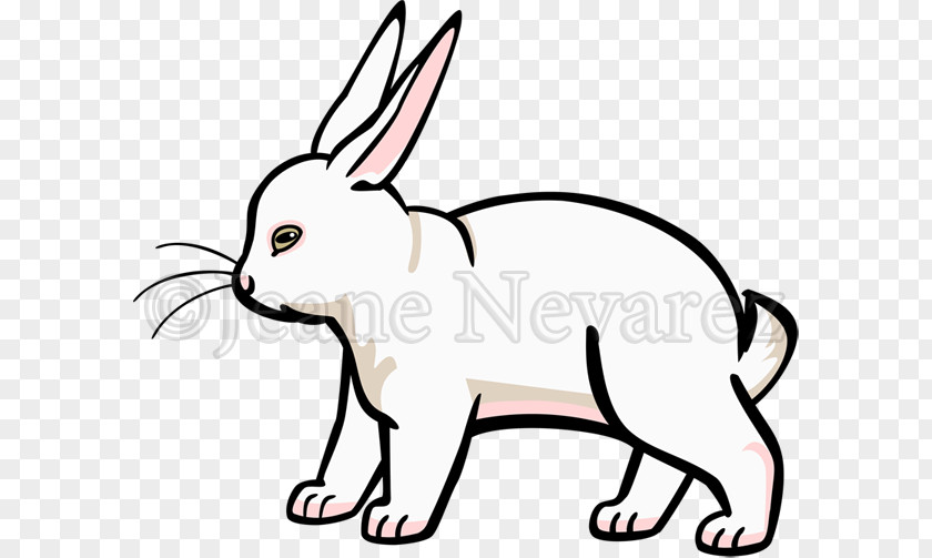 Cat Whiskers Domestic Rabbit Hare Clip Art PNG