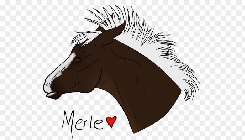 Express Little Brother Mustang Rein Clip Art Illustration Halter PNG