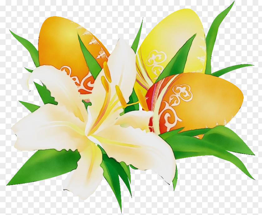 Flower Plant Yellow Lily Petal PNG