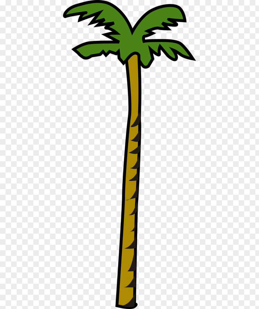 Palm Tree Plant Oil PNG