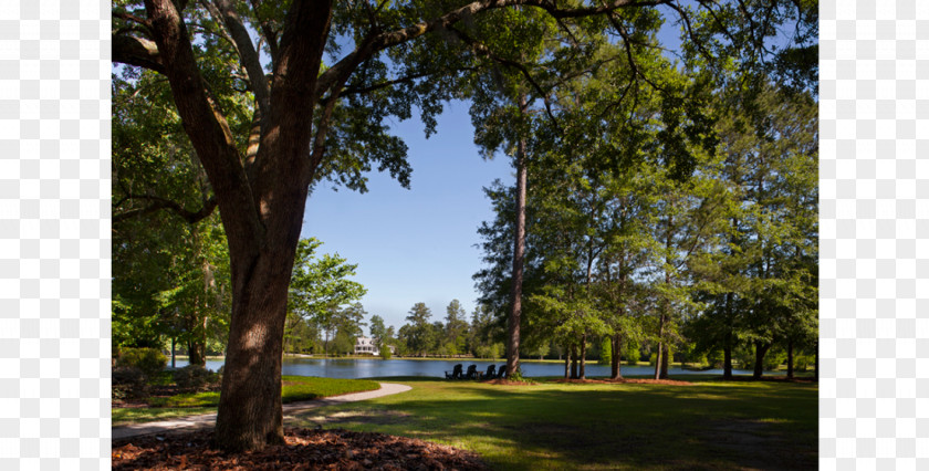 California Waterscapes Derry Ridgeland Charleston Plantation Historical Concepts PNG