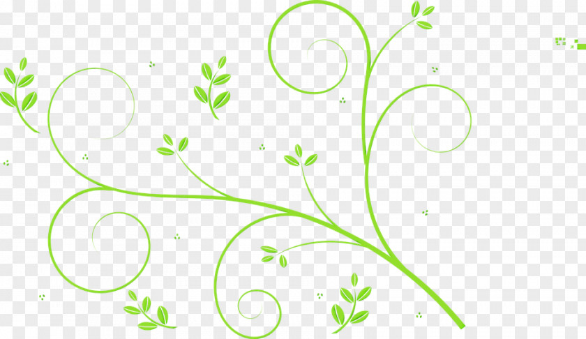 Floral Design Plant Stem Watercolor Background PNG