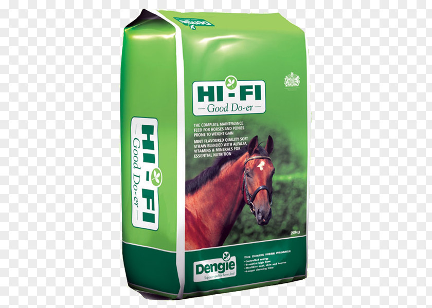Horse Pony Equine Nutrition Easy Keeper Laminitis PNG