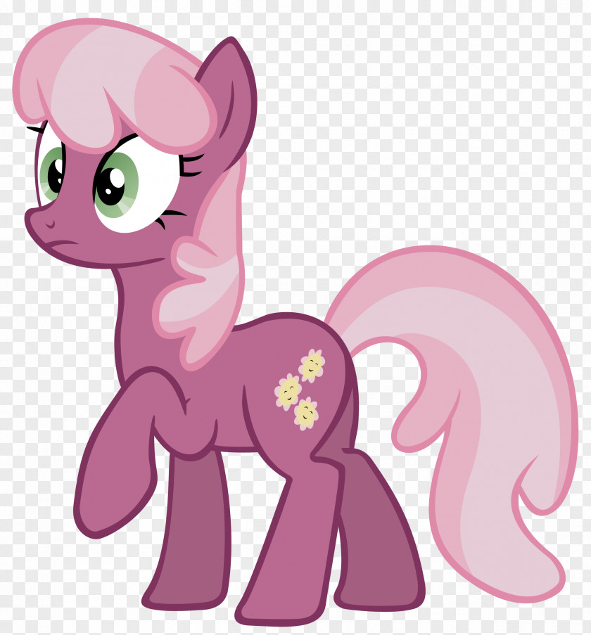 My Little Pony Pony: Friendship Is Magic Fandom Cheerilee Female PNG
