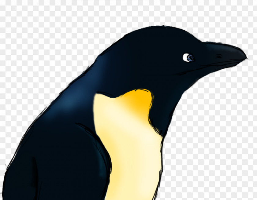 Penguin King Chicks Penguins Are Awesome Drawing PNG