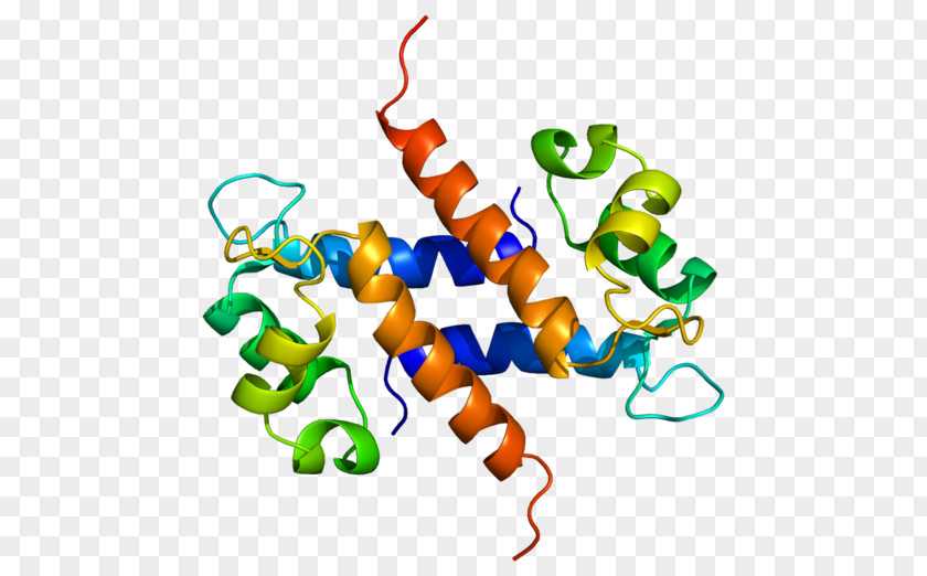 S100A8 Calcium-binding Protein S100A9 S100 PNG