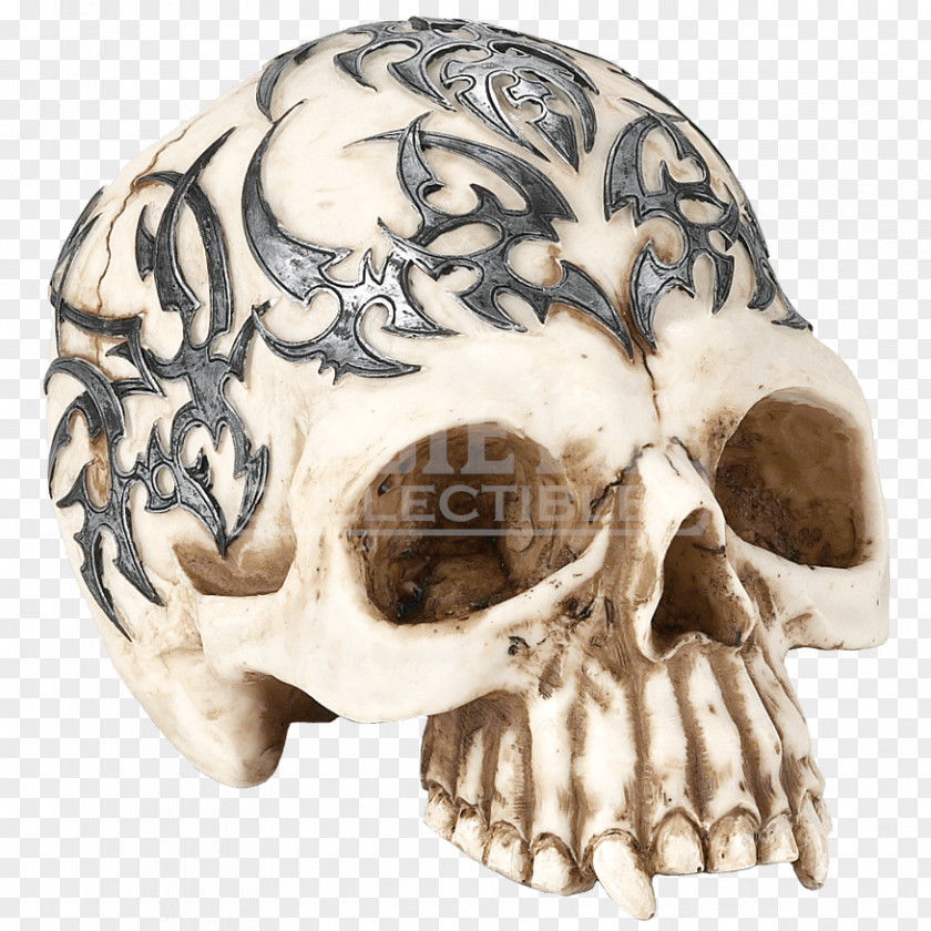 Skull Calavera Art Skeleton Day Of The Dead PNG