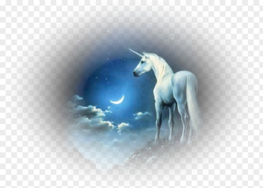 Unicorn Animation Pegasus Desktop Wallpaper PNG