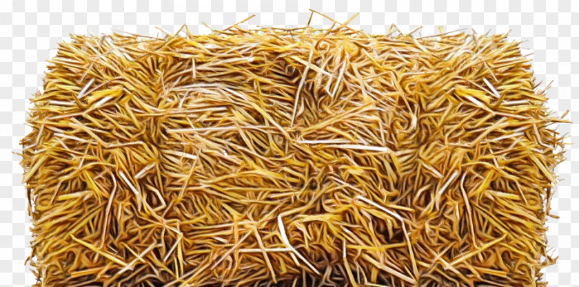 Wheat PNG