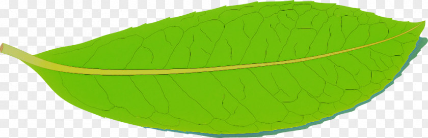 Yellow Leaf Green PNG