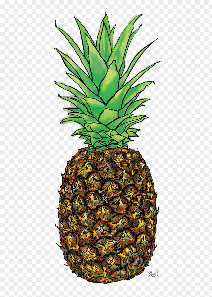 Android 4.2 (Jelly Bean)Pineapple Pineapple Graphic Design Painting Wacom Cintiq Companion Hybrid 32 GB PNG