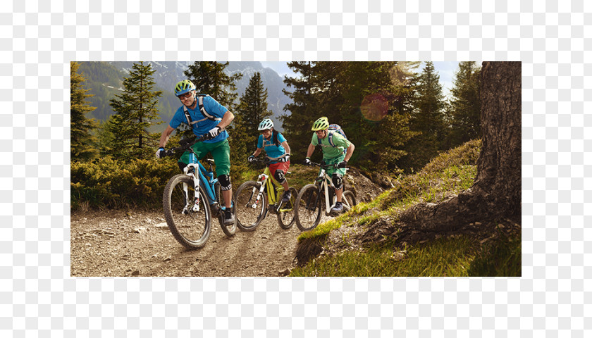 Emotion Bicycle Downhill Mountain Biking Bike Cyclo-cross Electric Hybrid PNG