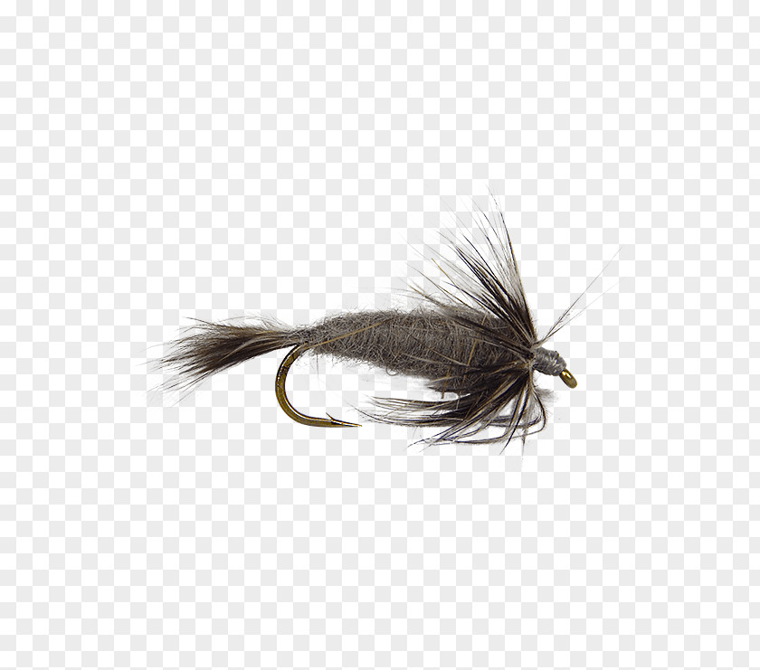 Fly Artificial Fishing Hackles Mayfly PNG