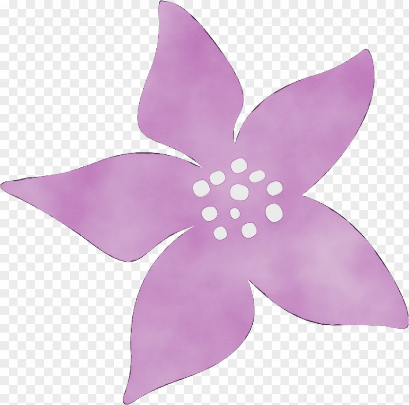 Herbaceous Plant Wheel Petal Violet Pink Purple Lilac PNG