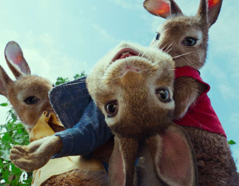 Peter Rabbit Adventure Film Trailer Comedy Live Action PNG