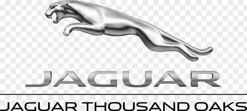 Car Jaguar Cars Dealership Land Rover Used PNG