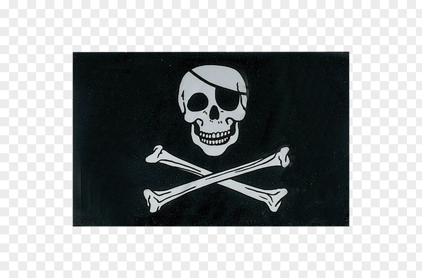 Flag Jolly Roger Pirate Skull And Crossbones Pennon PNG