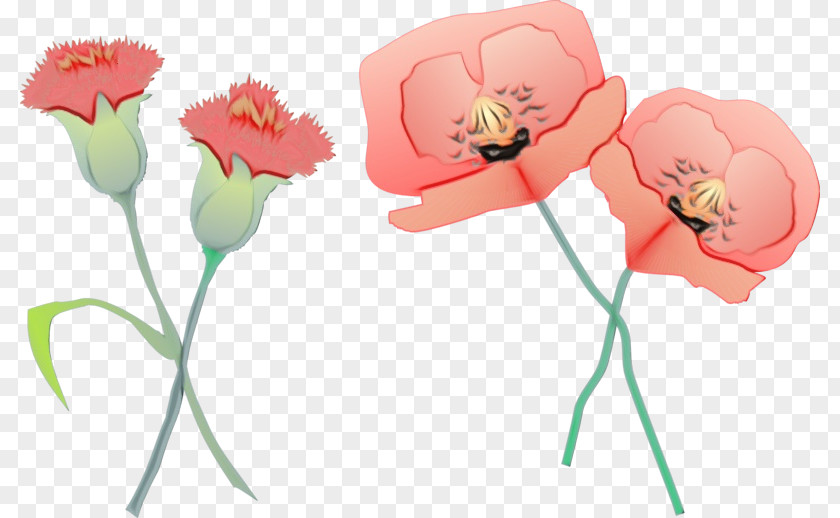 Flower Cut Flowers Pink Petal Plant PNG