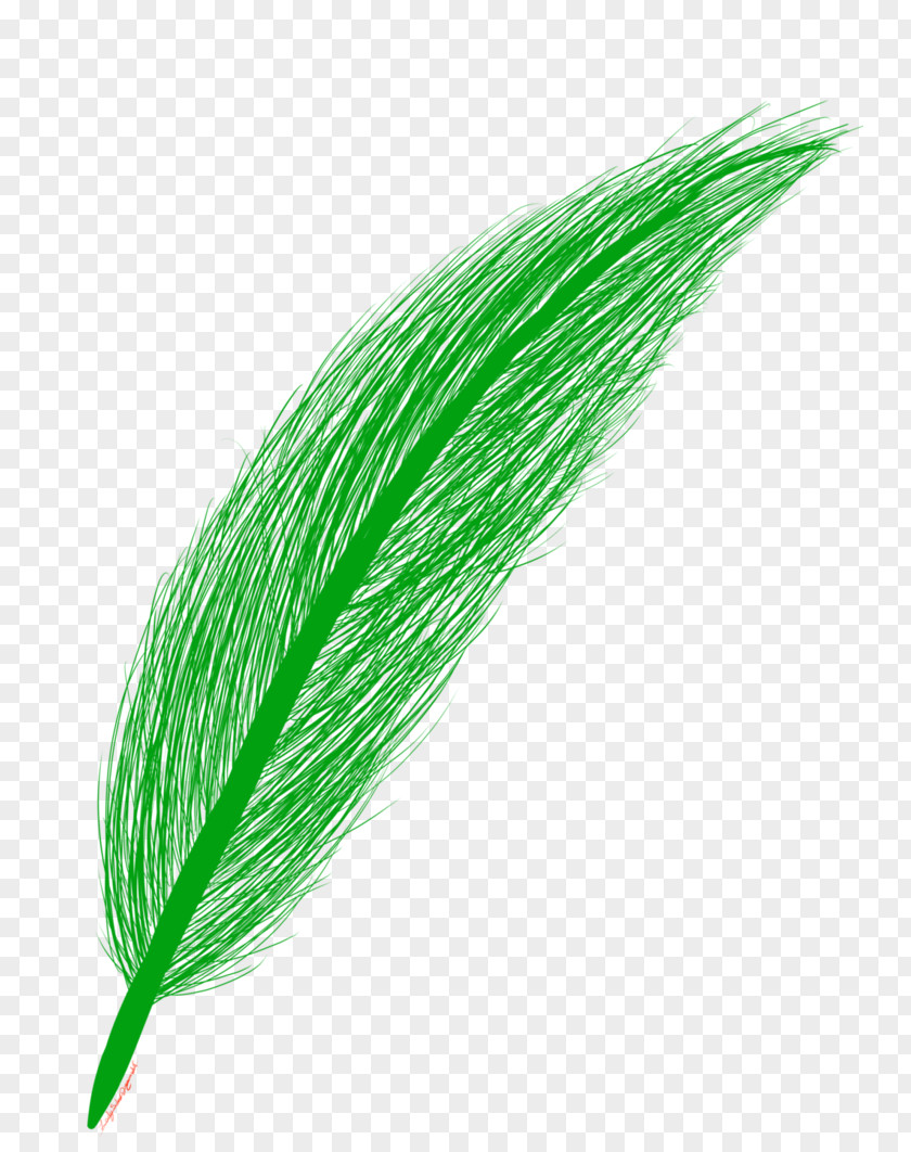 Green Feather Commodity PNG
