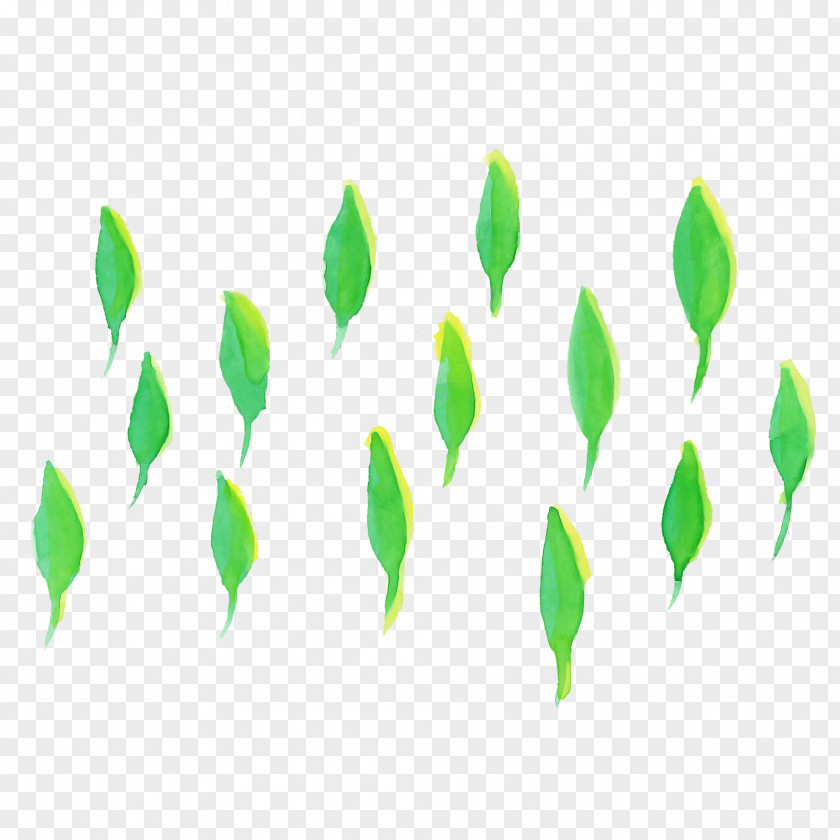 Green Leaf Line Plant Font PNG