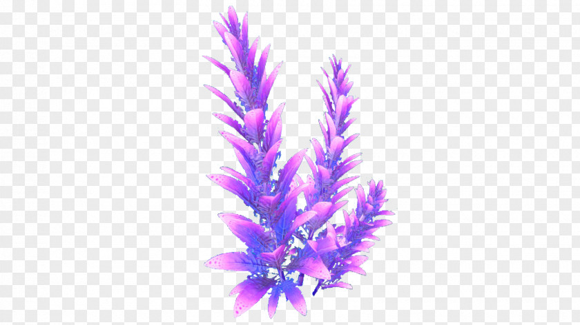 Lavender Subnautica Violet Wiki Flora PNG