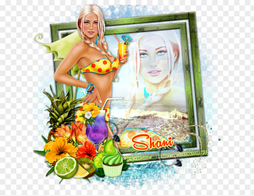 Shani Photomontage Picture Frames PNG