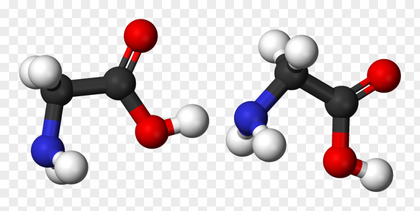 Glycine Molecule Condensation Reaction Amino Acid Fibroin PNG
