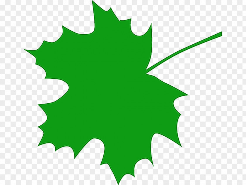 Leaf Clip Art Plant Stem Tree Flowering PNG