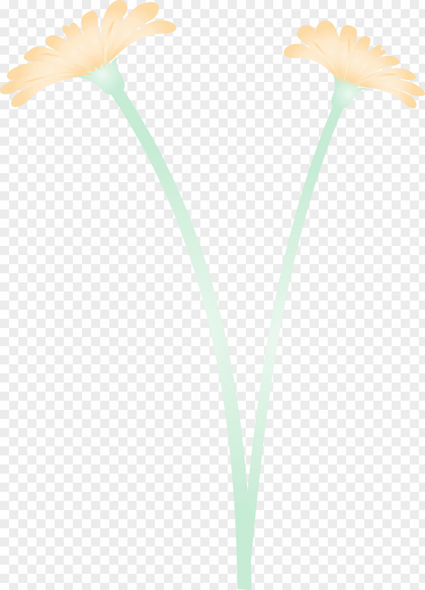 Plant Stem Flower Leaf Petal Yellow PNG