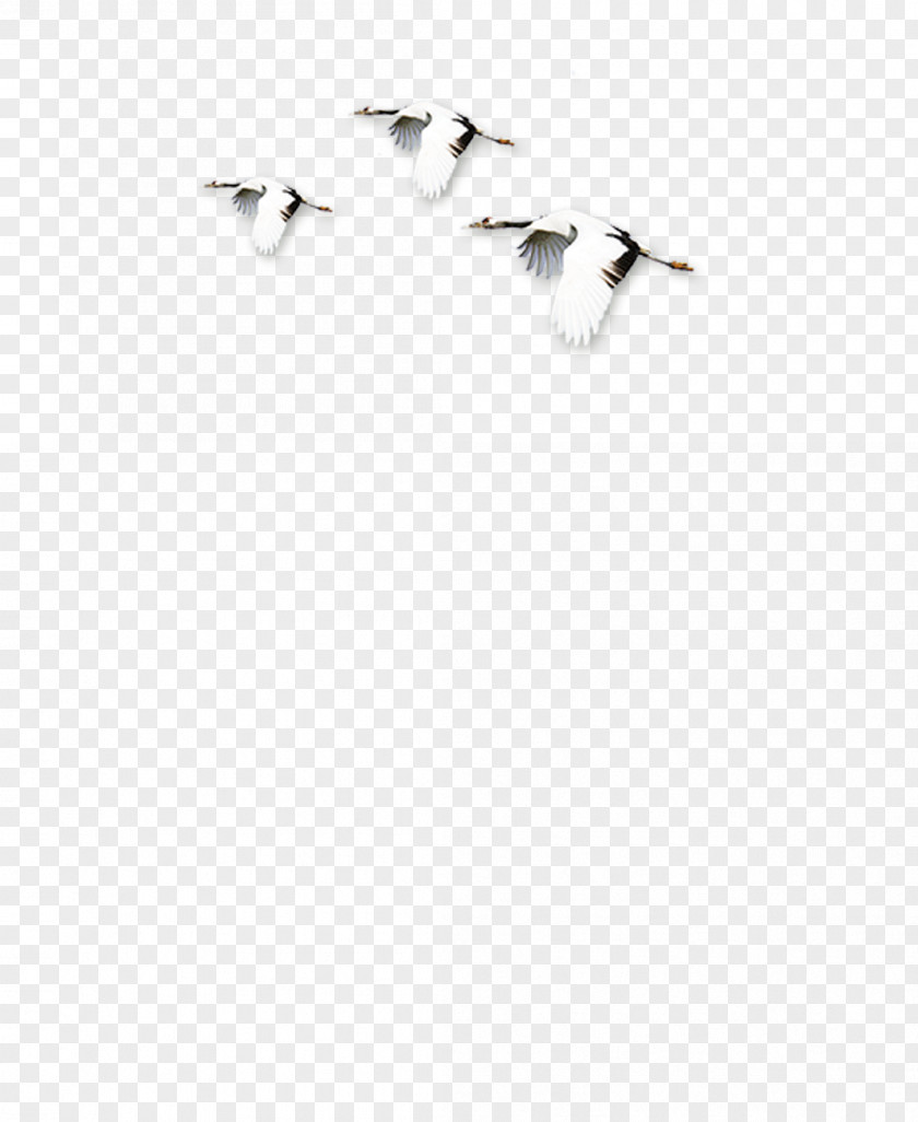 Chinese Ink Painting Style, Birds, Crane, Fly White Black Angle Pattern PNG