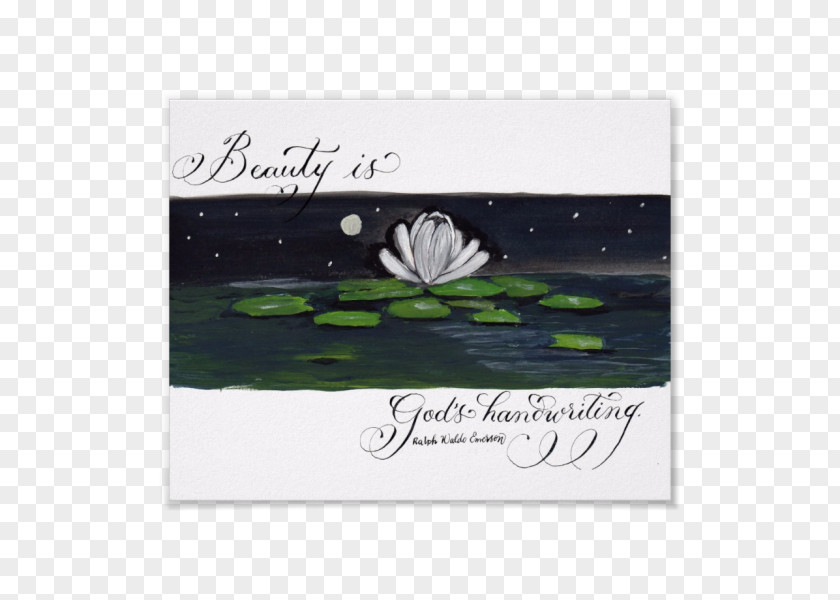 Hand-painted Beauty Green Rectangle Flower PNG