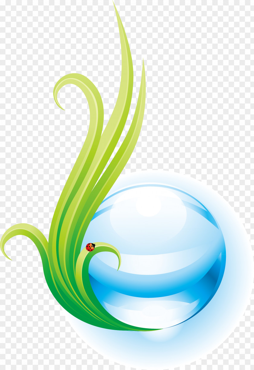 Insect Water Polo Vexel Drop PNG