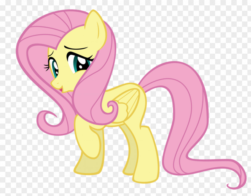 A Full 10 Minute Practice Of Stance My Little Pony Rainbow Dash Twilight Sparkle Fluttershy PNG