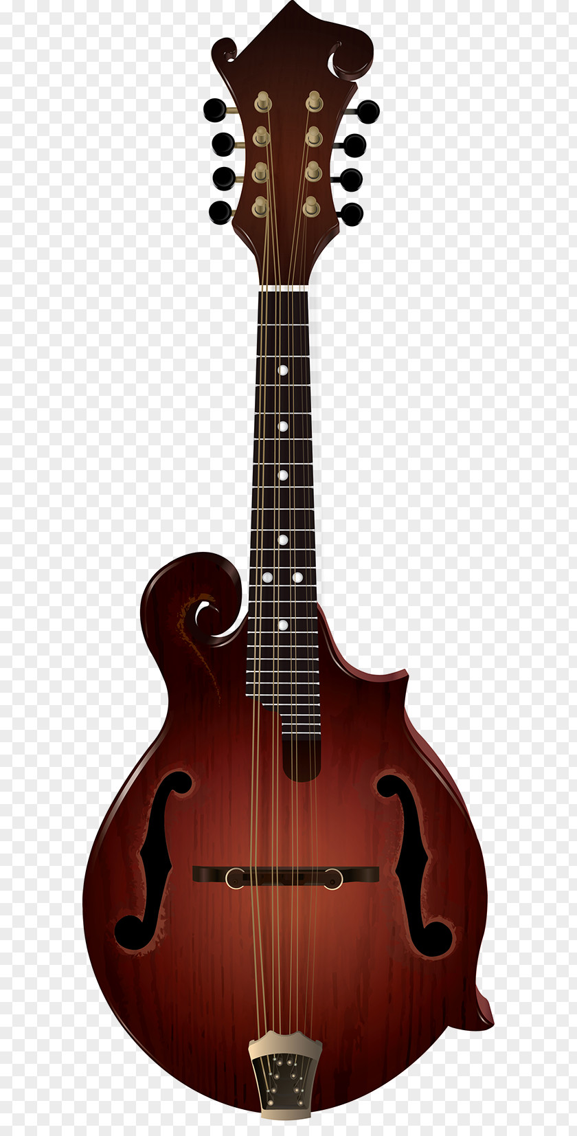 Acoustic Guitar Bass Mandolin Acoustic-electric Tiple PNG