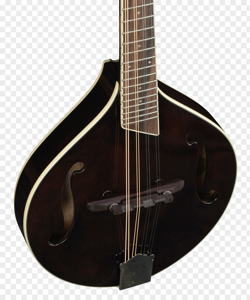Bass Guitar Acoustic Mandolin Cuatro Tiple PNG