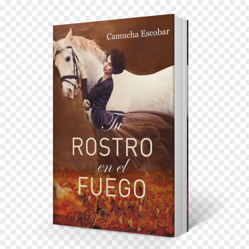 Buenos Aires Tu Rostro En El Fuego La Segunda Vida Del Mariscal A Column Of Fire Historical Fiction Taste PNG