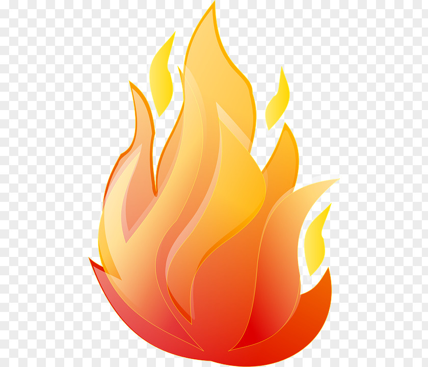 Flame Animation Clip Art PNG