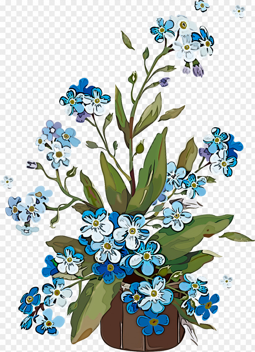 Flower Alpine Forget-me-not Plant Water Forget Me Not PNG