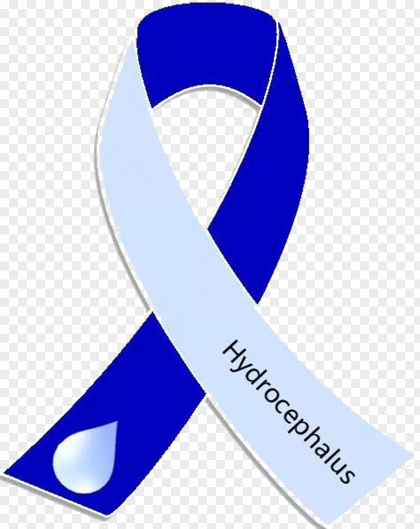 Hydro Awareness Ribbon Hydrocephalus Cerebral Shunt PNG