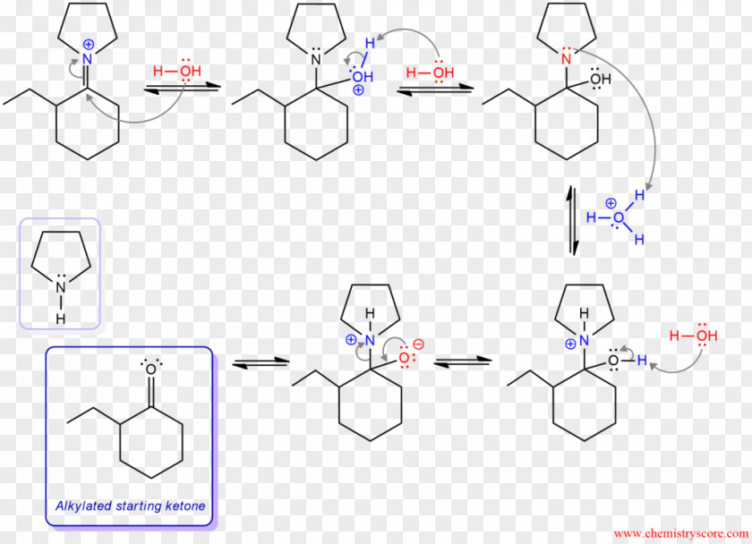 Pyrrolidine Stork Enamine Alkylation Acylation Ketone PNG