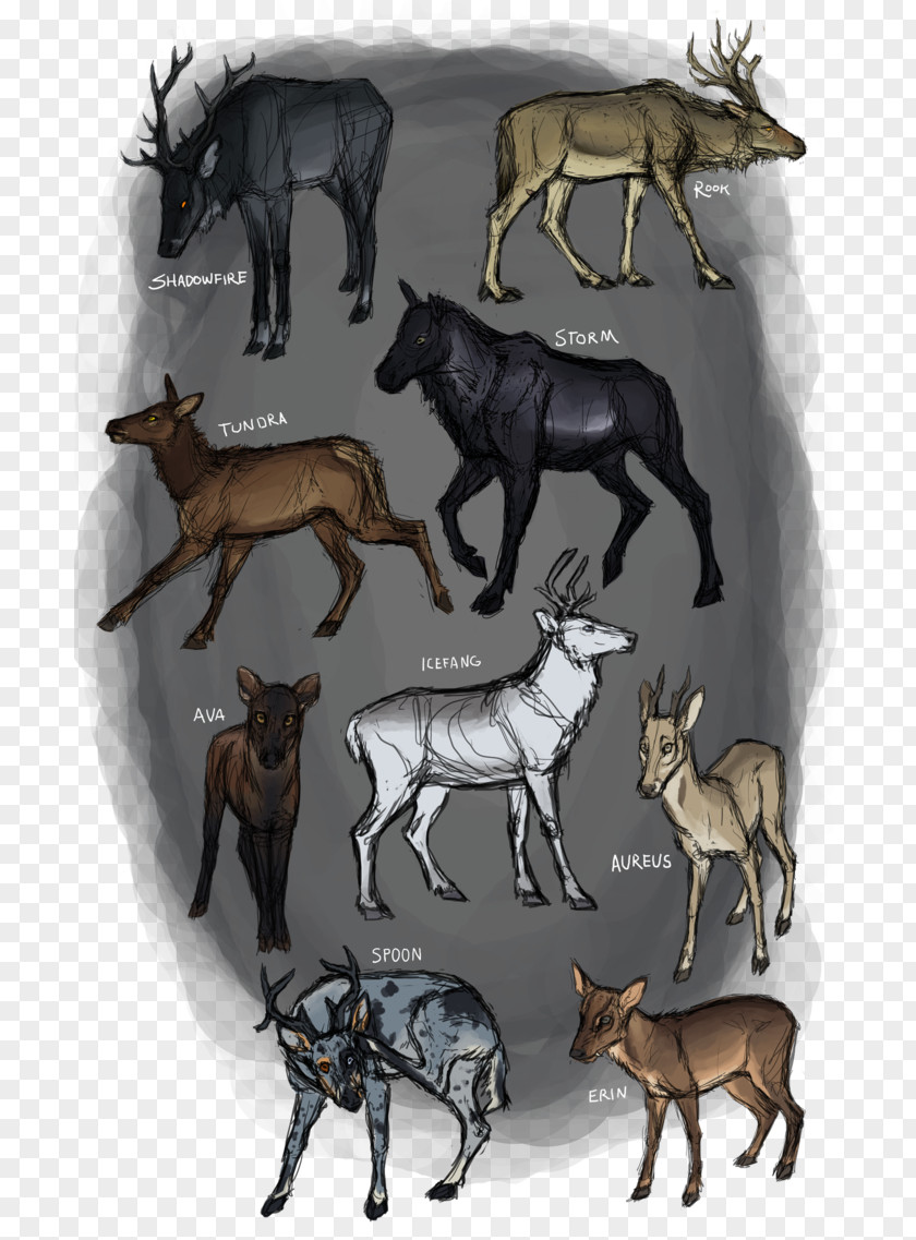 Reindeer Canis Ferox Elk PNG