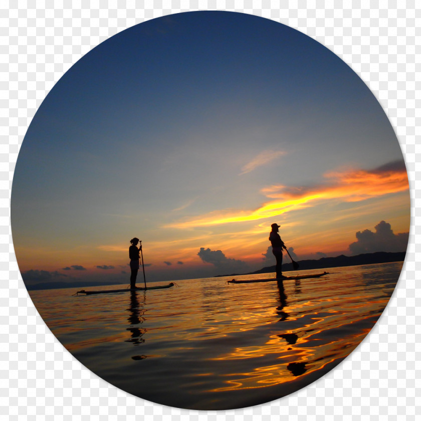 Snorkle 石垣島 シュノーケル・ツアー Standup Paddleboarding Ishigaki Snorkeling PNG