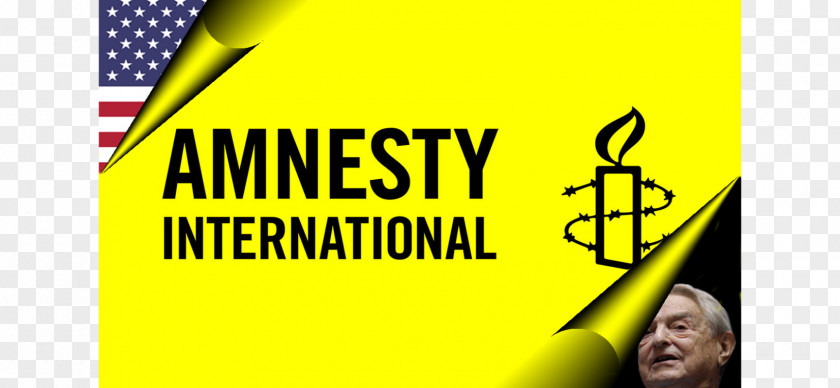 Amnesty International New Zealand USA Human Rights PNG