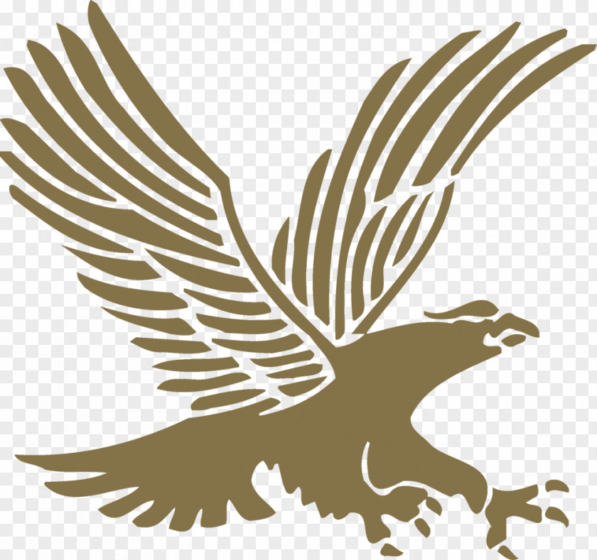 Blue Eagle Logo Embry-Riddle Aeronautical University Embry–Riddle Master's Degree College PNG