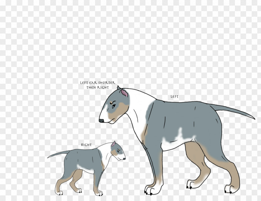 Cat Dog Breed Italian Greyhound PNG