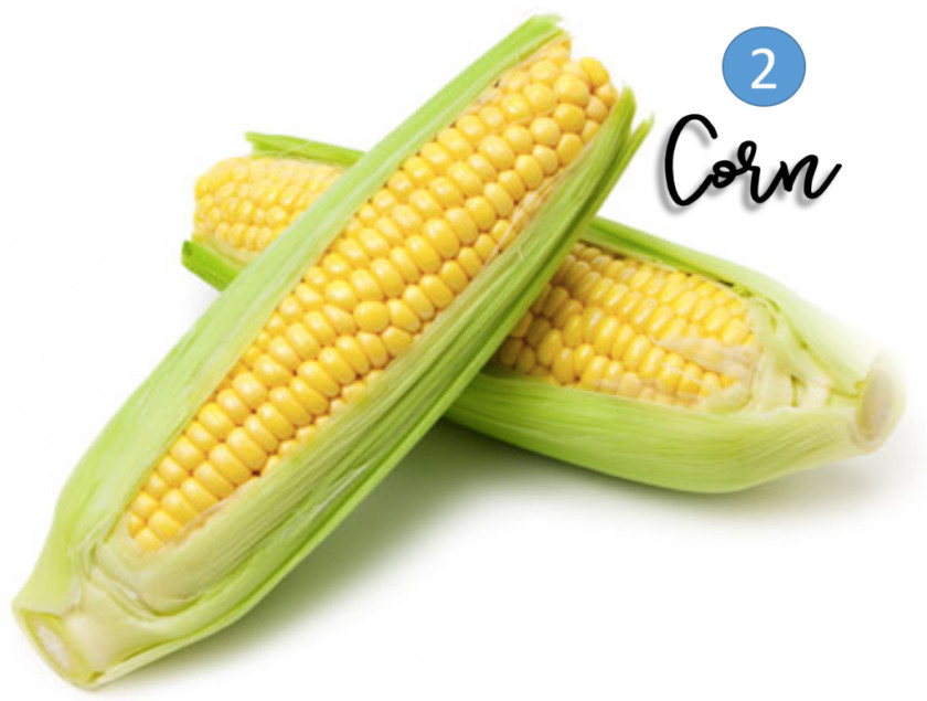 Corn On The Cob Fritter Leftovers Maize Sweet PNG