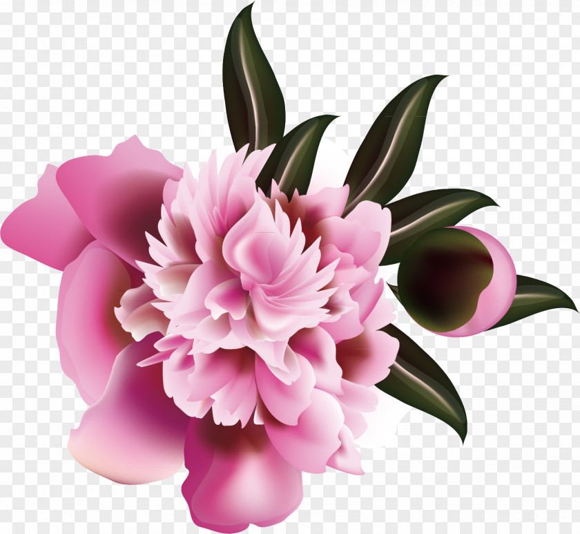 Flower Pattern Elements Floral Design Illustration PNG
